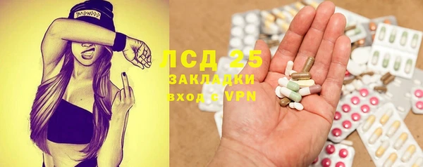 ГАЛЛЮЦИНОГЕННЫЕ ГРИБЫ Баксан
