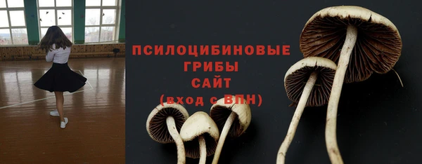 мдпв Балабаново