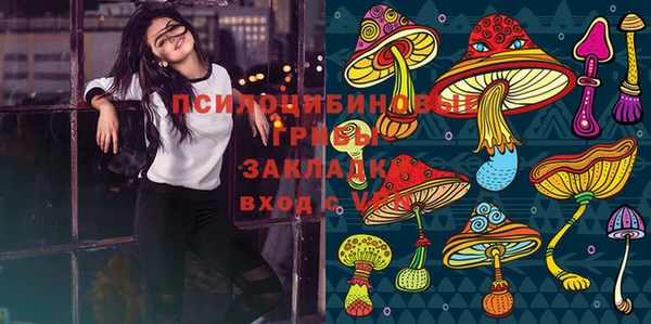 мдпв Балабаново