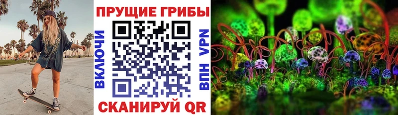 закладки  Белозерск  даркнет Telegram  Галлюциногенные грибы GOLDEN TEACHER 